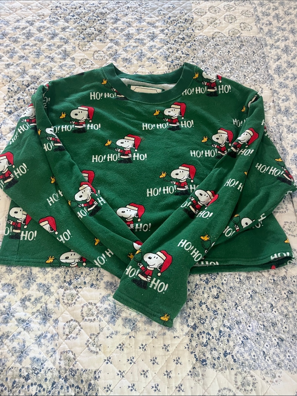 AE Snoopy Holiday Pjs